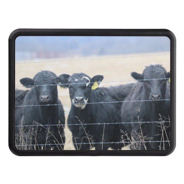 Bovine bystanders hitch cover (Front)