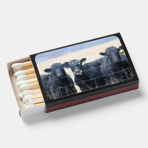 Bovine Bystanders Matchboxes