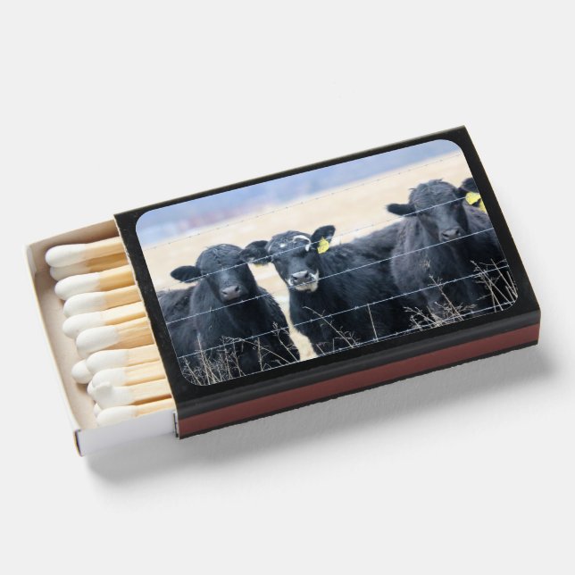 Bovine Bystanders Matchboxes (Front Open)