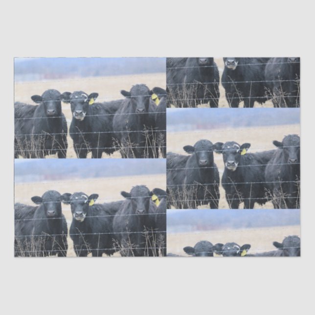 Bovine bystanders tissue paper (Front)