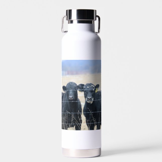 Bovine bystanders water bottle (Front)