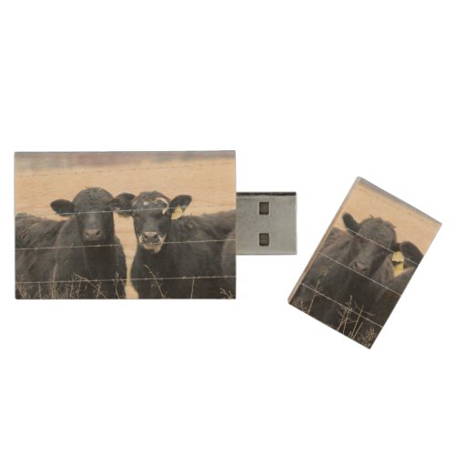 Bovine Bystanders Wood Flash Drive