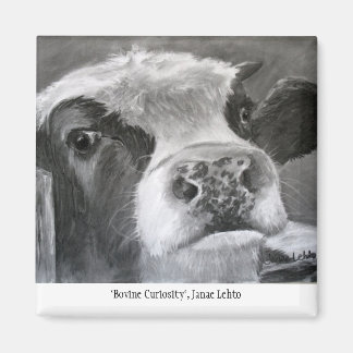 Bovine Curiosity Magnet