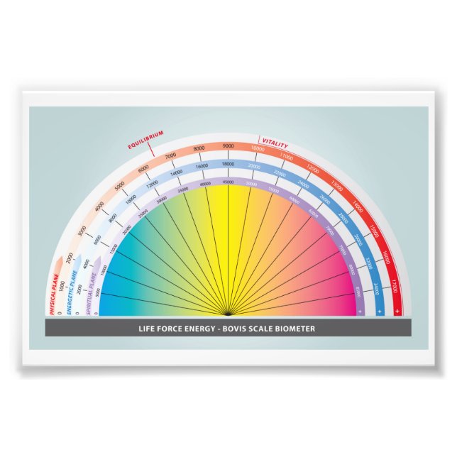 Bovis scale for measuring life force energy photo print (Front)