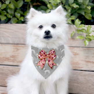 Bow and Hearts Pet Bandana Pet Bandana Collar