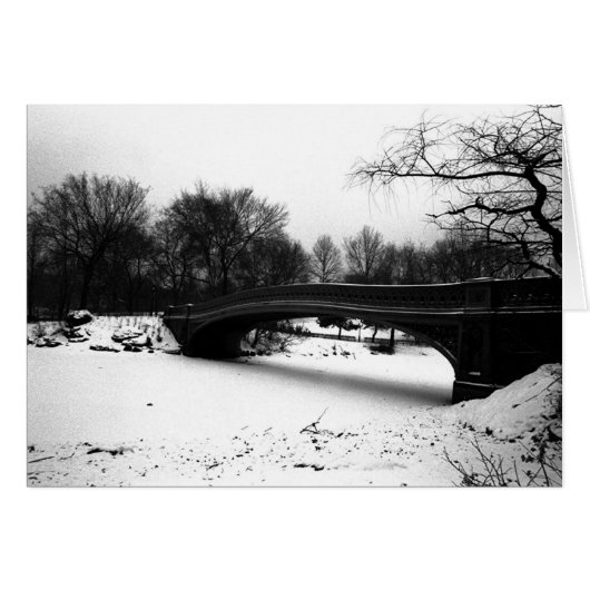 Bow Bridge Winter Central Park NYC Cards (Front Horizontal)
