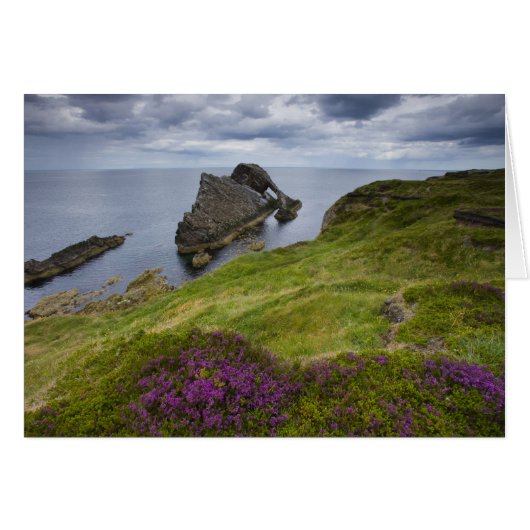Bow Fiddle Rock, Portknockie, Scotland Cards (Front Horizontal)