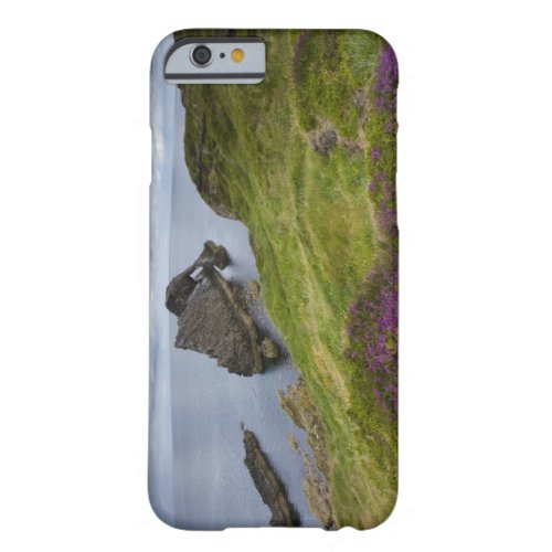 Bow Fiddle Rock Portknockie Scotland Barely There iPhone 6 Case