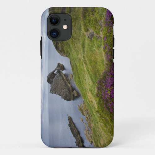 Bow Fiddle Rock Portknockie Scotland iPhone 11 Case