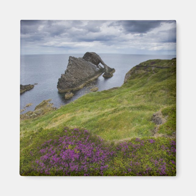 Bow Fiddle Rock, Portknockie, Scotland Magnet (Front)