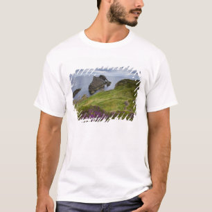 Bow Fiddle Rock, Portknockie, Scotland T-Shirt
