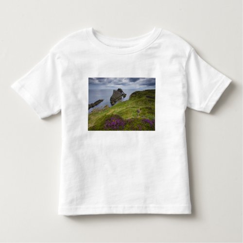 Bow Fiddle Rock Portknockie Scotland Toddler T_shirt
