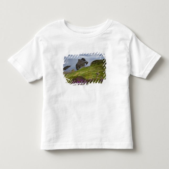 Bow Fiddle Rock, Portknockie, Scotland Toddler T-shirt (Front)