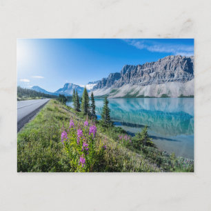 Bow Lake Banff Mountain Reflections Postcard