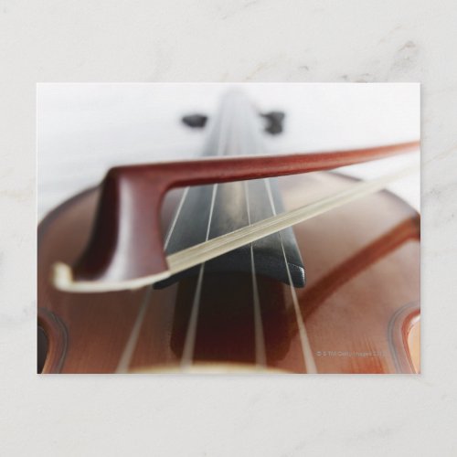 Bow on Violin Postcard