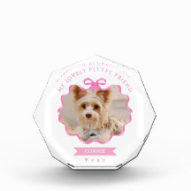 Bow Ribbon Pet Memory Photo Pink