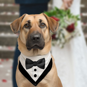 Bow Tie Wedding Tuxedo Best Man Pet Bandana Collar