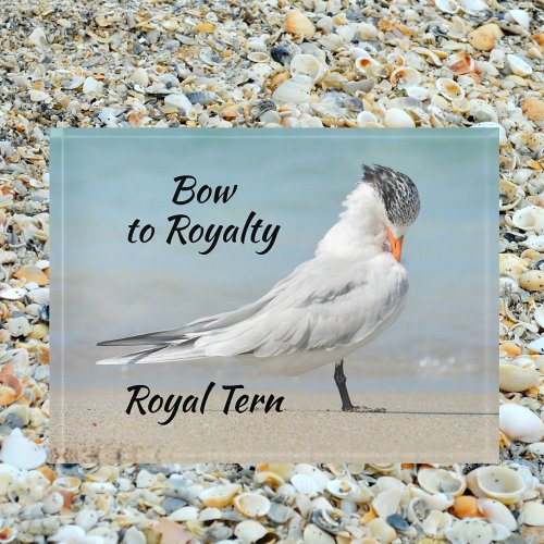 Bow to Royalty Royal Tern Photographic Paperweight