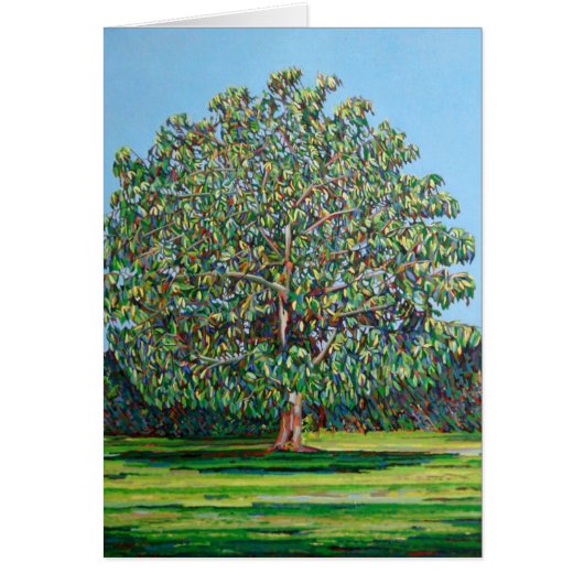 Bow Tree Summer Cards (Front)