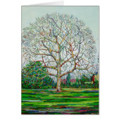 Bow Tree Winter (Front)