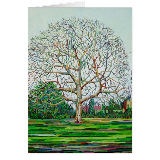 Bow Tree Winter Cards (Front)