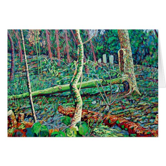 Bow Trench 2 Cards (Front Horizontal)