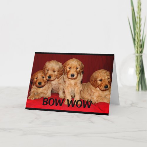 Bow Wow Wow Youre An Awesome Aunt Mothers Day Card