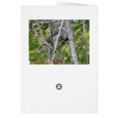 Bowed Rooster/Prayer (Back)