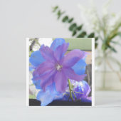 Bowen (Standing Front)