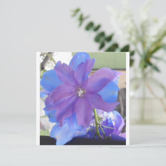 Bowen (Standing Front)