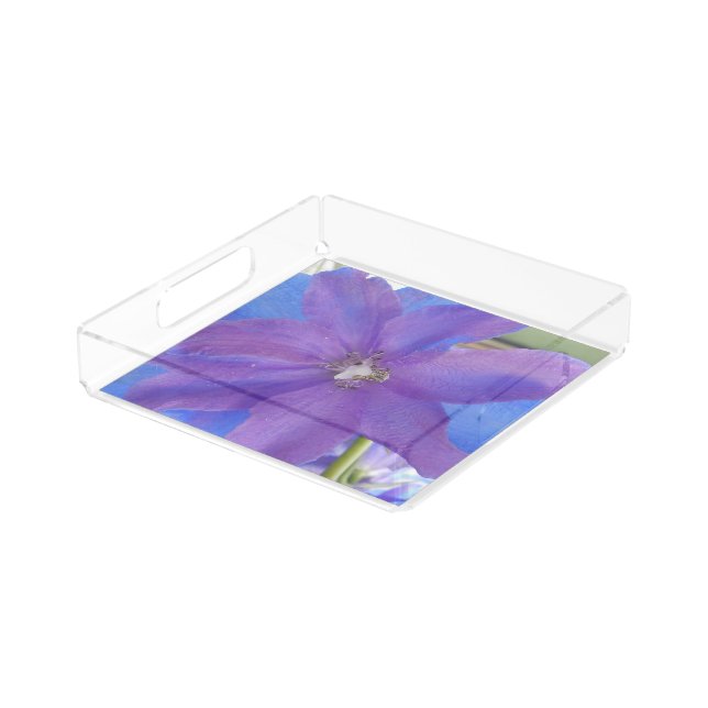 Bowen Acrylic Tray (Angled)