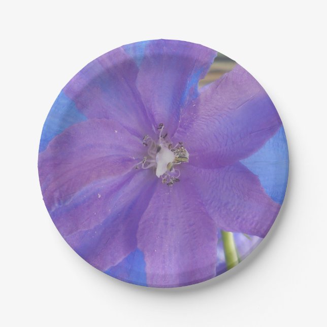 Bowen Paper Plates (Front)