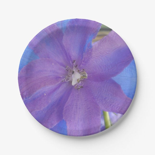 Bowen Paper Plates (Front)