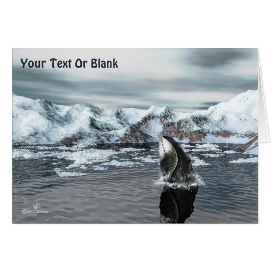 Bowhead Whale Cards (Front Horizontal)