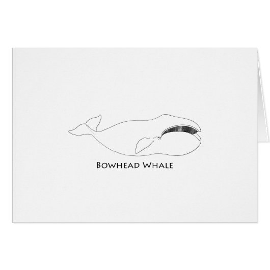 Bowhead Whale (line art illustration) Cards (Front Horizontal)