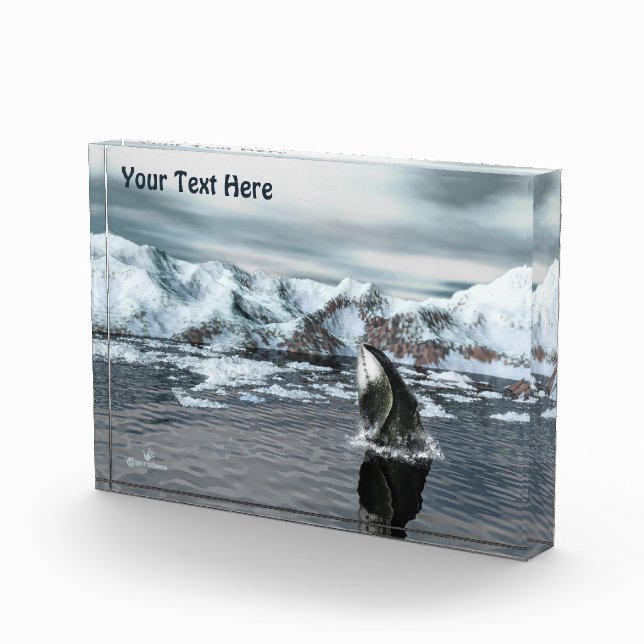 Bowhead Whale Photo Block (Right)