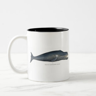 Bowhead Whale Two-Tone Coffee Mug
