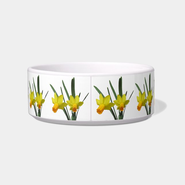 Bowl - Daffodil (Back)