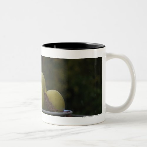 Bowl of apples and leaves Two_Tone coffee mug