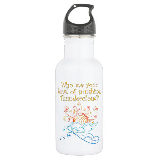 Bowl of Sunshine Stainless Steel Water Bottle