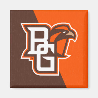 Bowling Green State Color Block Distressed Magnet