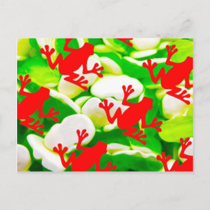 Box of Frogs Postcard