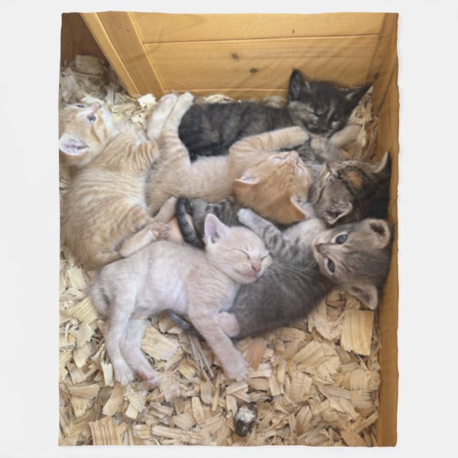 BOX of KITTENS Fleece Blanket (Front)