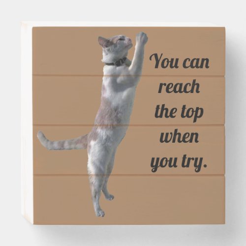 Box Sign _ Cat Reaching for the Top