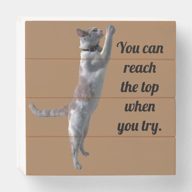 Box Sign - Cat Reaching for the Top (Front Horizontal)