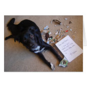 Box. Status == Destroyed. (Front Horizontal)