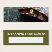 Box Turtle (Front & Back)