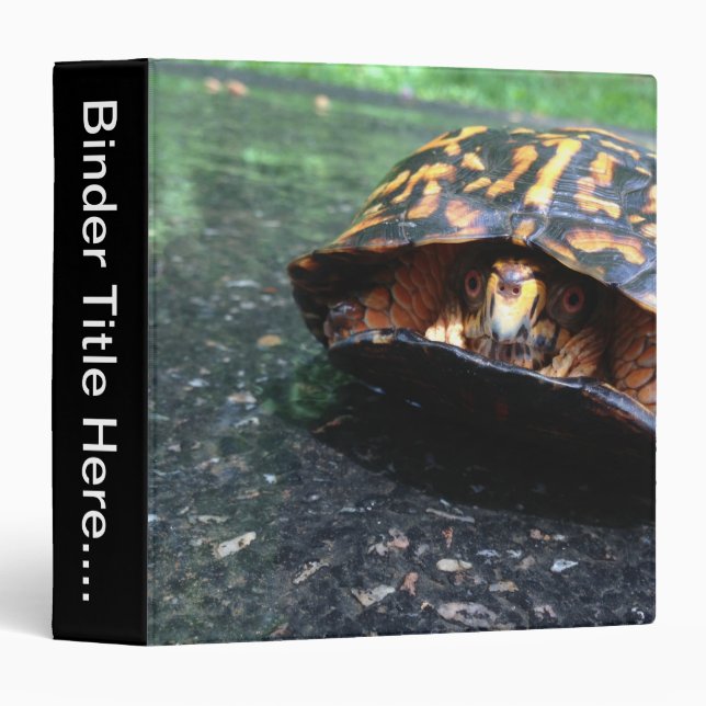 Box Turtle - 1.5" 3 Ring Binder (Front/Spine)