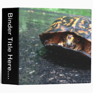 Box Turtle - 2" Binder