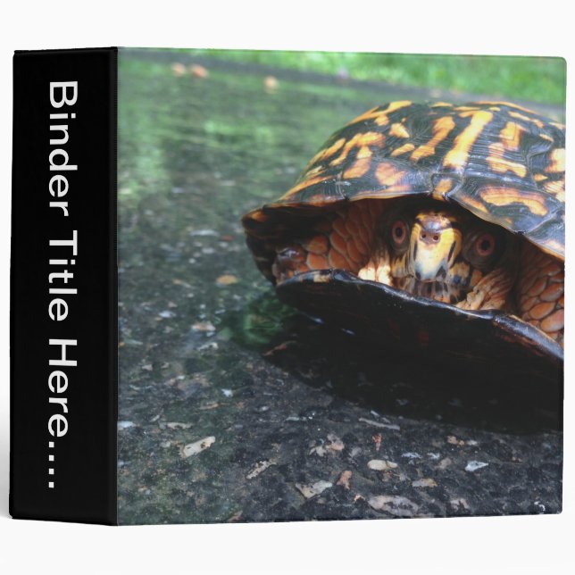 Box Turtle - 2" Binder (Front/Spine)